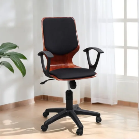 (EX-OF78) Orthopedic back supported computer chair